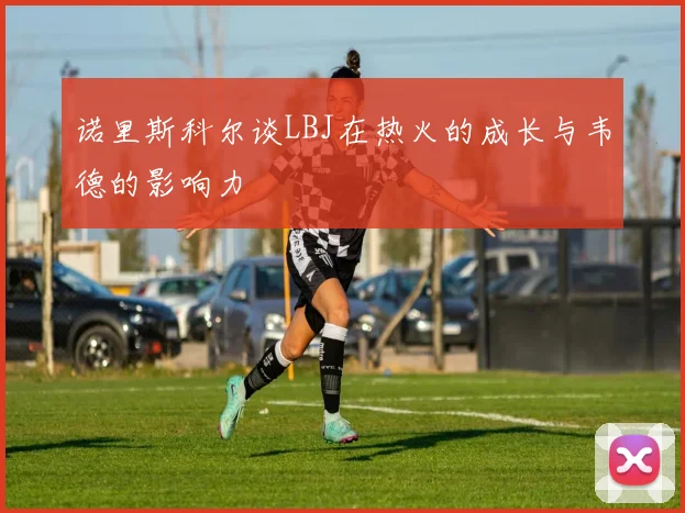 诺里斯科尔谈LBJ在热火的成长与韦德的影响力