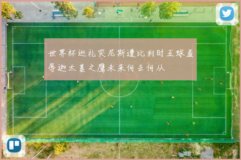 世界杯巡礼突尼斯遭比利时五球羞辱迦太基之鹰未来何去何从